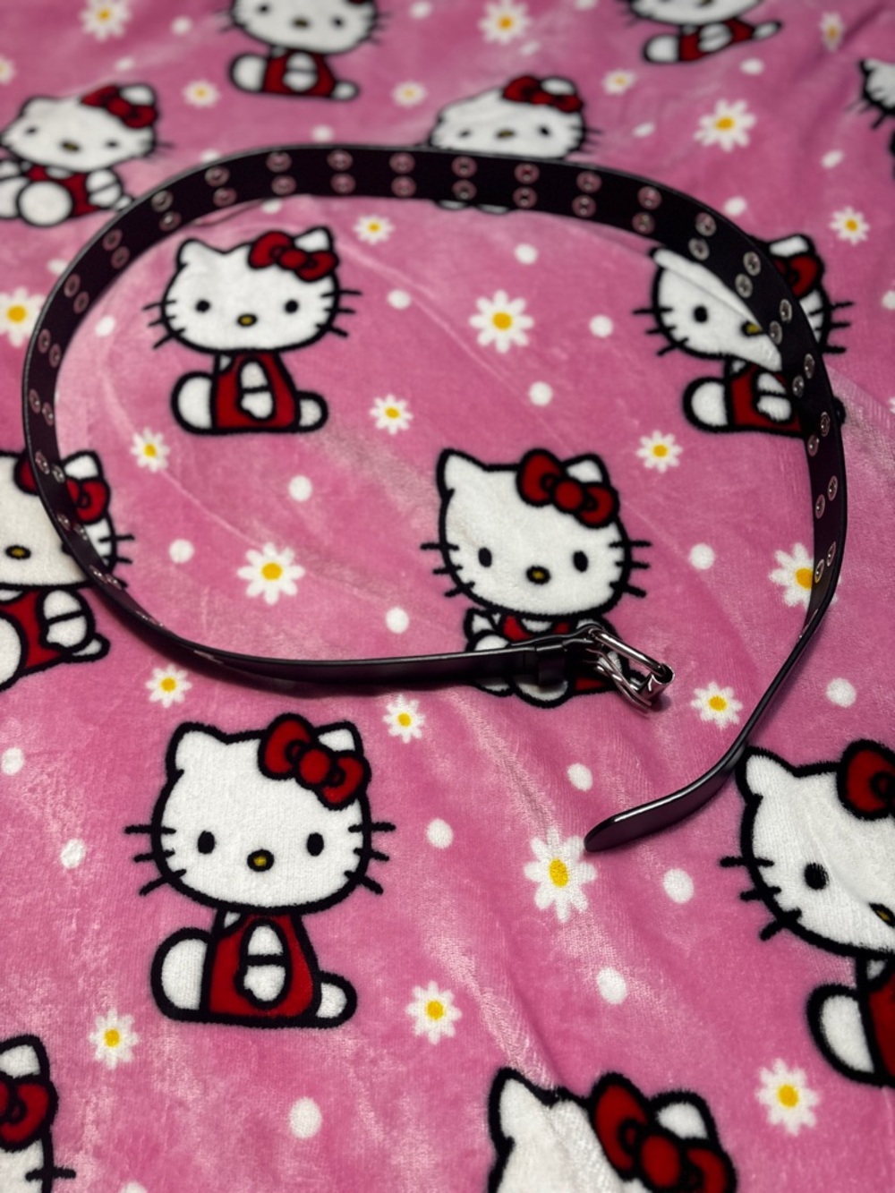 Alternative Belt
